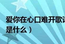 爱你在心口难开歌词（爱你在心口难开的歌词是什么）