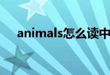 animals怎么读中文（animals怎么读）