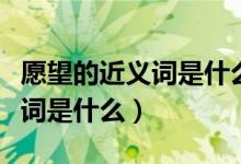 愿望的近义词是什么四年级上册（愿望的近义词是什么）