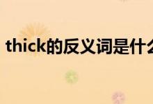 thick的反义词是什么英语（thick的反义词）