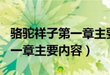 骆驼祥子第一章主要内容200字（骆驼祥子第一章主要内容）