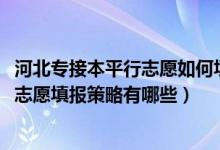 河北专接本平行志愿如何填报2020（新高考模式下专业平行志愿填报策略有哪些）