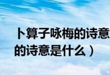 卜算子咏梅的诗意是什么30字（卜算子咏梅的诗意是什么）