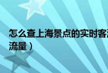 怎么查上海景点的实时客流量（如何查询上海景点的实时客流量）