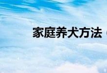 家庭养犬方法（在家里如何养狗）