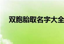 双胞胎取名字大全（好听的双胞胎名字）