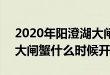 2020年阳澄湖大闸蟹上市时间 2020阳澄湖大闸蟹什么时候开湖