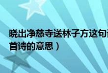 晓出净慈寺送林子方这句话的意思（晓出净慈寺送林子方这首诗的意思）