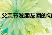 父亲节发朋友圈的句子（适合发的句子盘点）