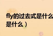 fly的过去式是什么用法是什么（fly的过去式是什么）