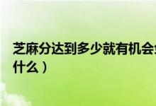 芝麻分达到多少就有机会免押金使用神州租车（神州租车是什么）