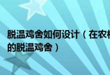 脱温鸡舍如何设计（在农村怎样建造一个5000～10000只鸡的脱温鸡舍）