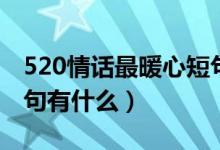 520情话最暖心短句告白（520情话最暖心短句有什么）