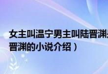 女主叫温宁男主叫陆晋渊是什么小说（女主叫温宁男主叫陆晋渊的小说介绍）