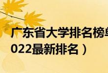 广东省大学排名榜单前50（广东省大学排名2022最新排名）