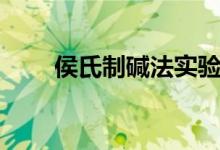 侯氏制碱法实验视频（侯氏制碱法）