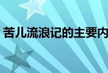 苦儿流浪记的主要内容（苦儿流浪记的结局）