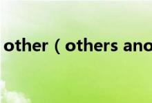 other（others another the other的区别）