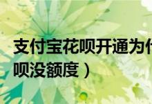 支付宝花呗开通为什么会没有额度（为什么花呗没额度）