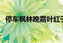 停车枫林晚霜叶红于二月花（停车枫林晚）