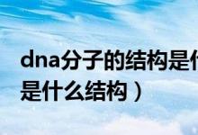 dna分子的结构是什么模型（dna分子的结构是什么结构）