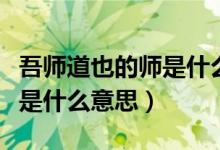 吾师道也的师是什么语言形式（吾师道也的师是什么意思）