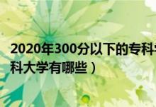 2020年300分以下的专科学校（2022年300分左右的公办专科大学有哪些）