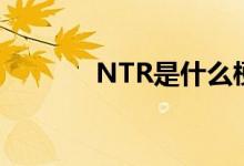 NTR是什么梗（NTR的意思）