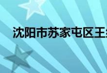 沈阳市苏家屯区王纲乡幼儿园的地址在哪