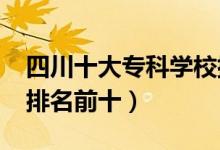 四川十大专科学校排名2022（高职高专院校排名前十）