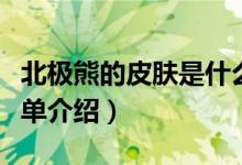 北极熊的皮肤是什么颜色蚂蚁庄园（北极熊简单介绍）