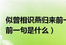 似曾相识燕归来前一句是啥（似曾相识燕归来前一句是什么）