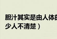 胆汁其实是由人体的哪一个器官分泌的（有多少人不清楚）