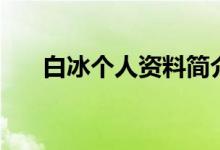 白冰个人资料简介（有关白冰的资料）