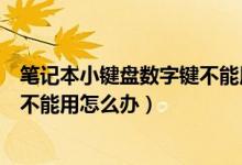 笔记本小键盘数字键不能用怎么回事（笔记本小键盘数字键不能用怎么办）