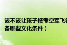 该不该让孩子报考空军飞行员（2022报考空军飞行员应该具备哪些文化条件）