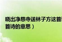 晓出净慈寺送林子方这首诗的意思（晓出净慈寺送林子方这首诗的意思）