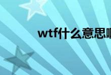 wtf什么意思啊（wtf的意思啊）