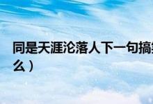 同是天涯沦落人下一句搞笑的（同是天涯沦落人下一句是什么）