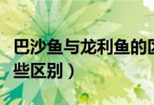 巴沙鱼与龙利鱼的区别（巴沙鱼和龙利鱼有哪些区别）