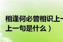 相逢何必曾相识上一句抖音（相逢何必曾相识上一句是什么）