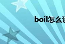 boil怎么读（boil解释）