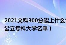 2021文科300分能上什么专科大学（2022高考文科300多分公立专科大学名单）