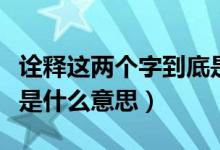 诠释这两个字到底是什么意思（诠释这两个字是什么意思）