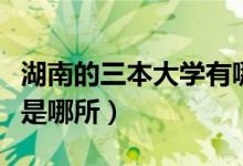 湖南的三本大学有哪些（湖南最好的三本院校是哪所）