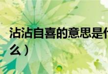 沾沾自喜的意思是什么（沾沾自喜的意思是什么）