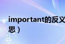 important的反义词（important是什么意思）