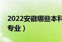 2022安徽哪些本科大学开设专科（都有什么专业）