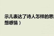 示儿表达了诗人怎样的思想感情（示儿表达了诗人怎样的思想感情）