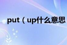 put（up什么意思 put up的意思有什么）